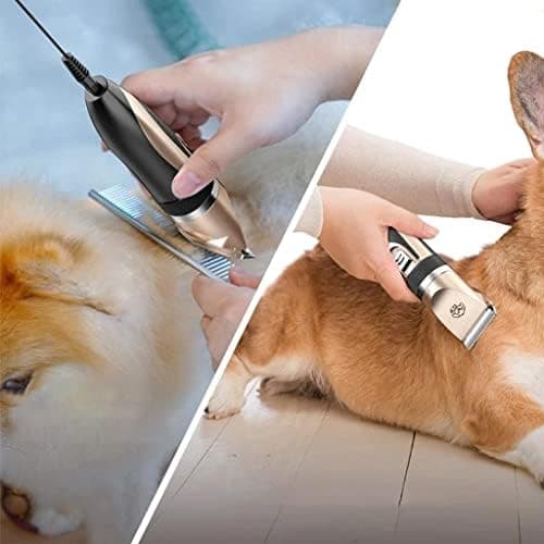 Tystgående Pälstrimmer för Hund/hundtrimmer med tillbehör Guld/Svart