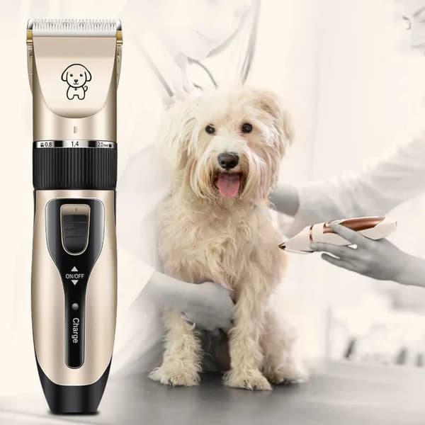 Tystgående Pälstrimmer för Hund/hundtrimmer med tillbehör Guld/Svart