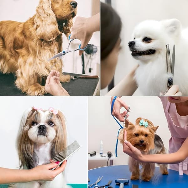 Premium Hundklippare Kit - Saxar för hund