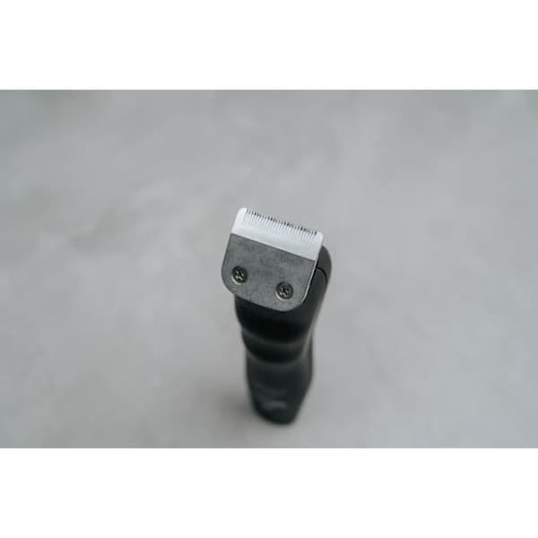 Skäggtrimmer - WAHL - GROOMSMAN PRO - 2,4 V - 6 kammar - Autonomi: 60 min - Svart / Silver