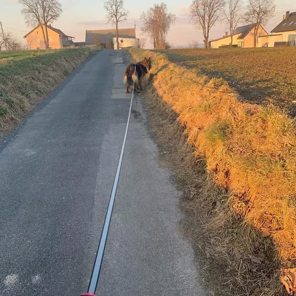 INF Udtrækkelig hundesnor Hundesnor