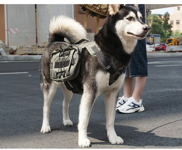 INF Taktisk hundesekk, hundesalpose ryggsekk med håndtak