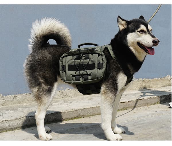 INF Taktisk hundesekk, hundesalpose ryggsekk med håndtak