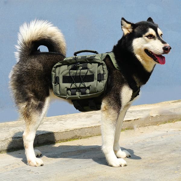INF Taktisk hundesekk, hundesalpose ryggsekk med håndtak