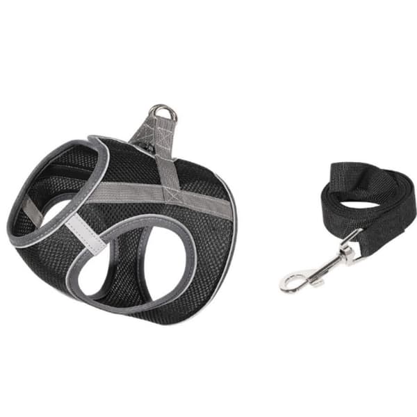 INF Andningsbar hundsele och koppel S