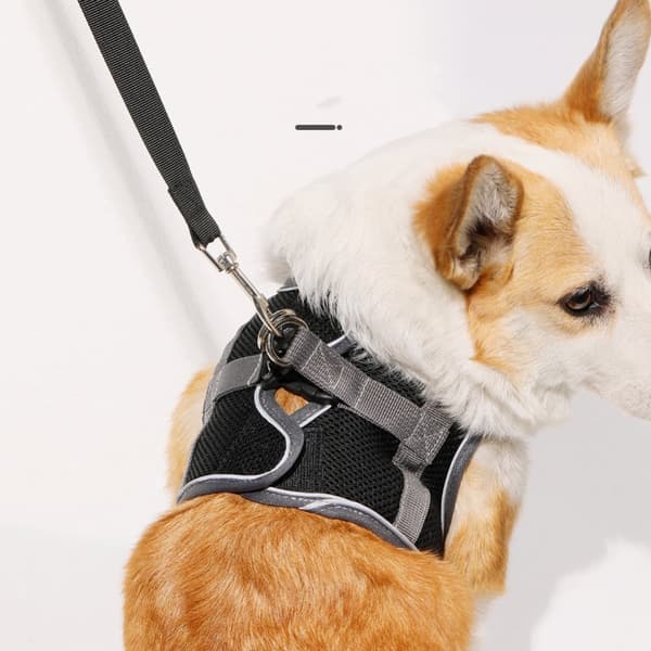 INF Pustende hundesele og bånd