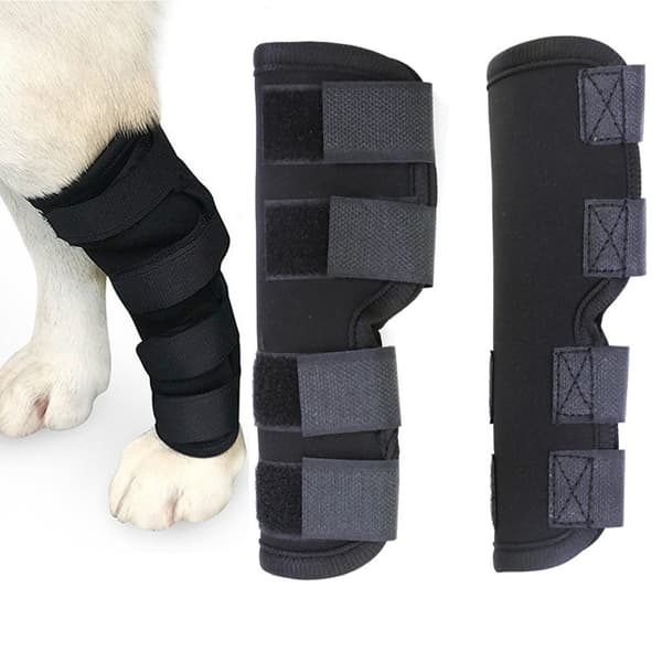 INF Pustende hundebeinseler for ACL, leddgikt, leddsmerter