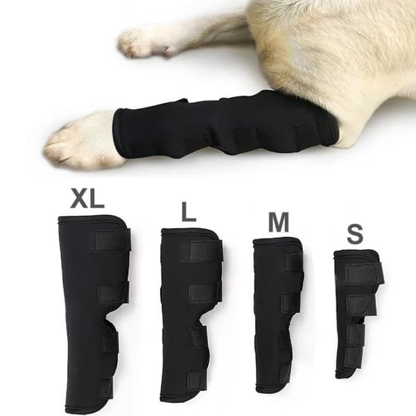 INF Pustende hundebeinseler for ACL, leddgikt, leddsmerter