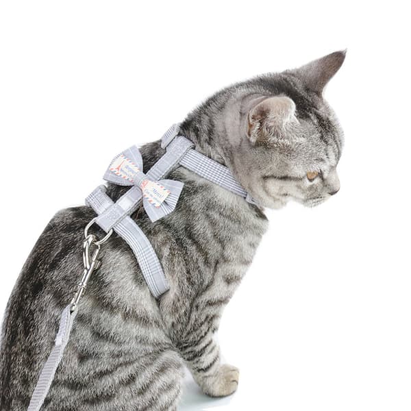 INF Butterfly Knot Cat Sele och koppel Set 0 S