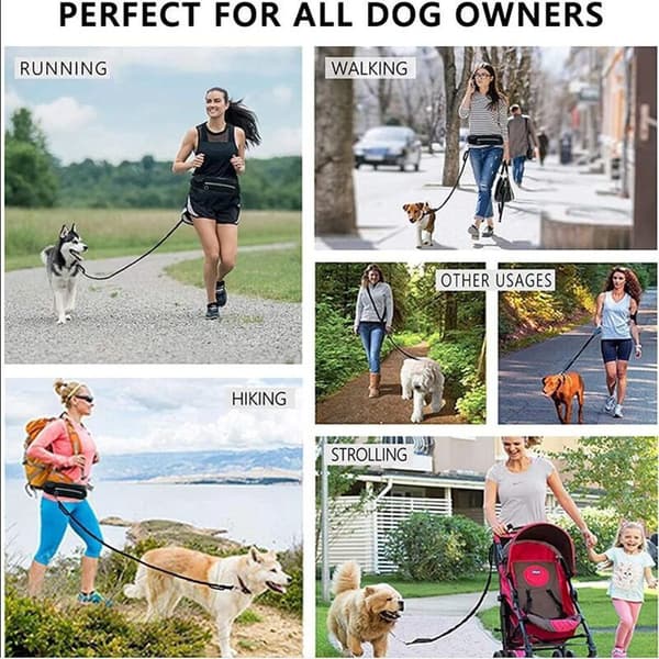 INF Hundesnor til hundetræning til udendørs gåture