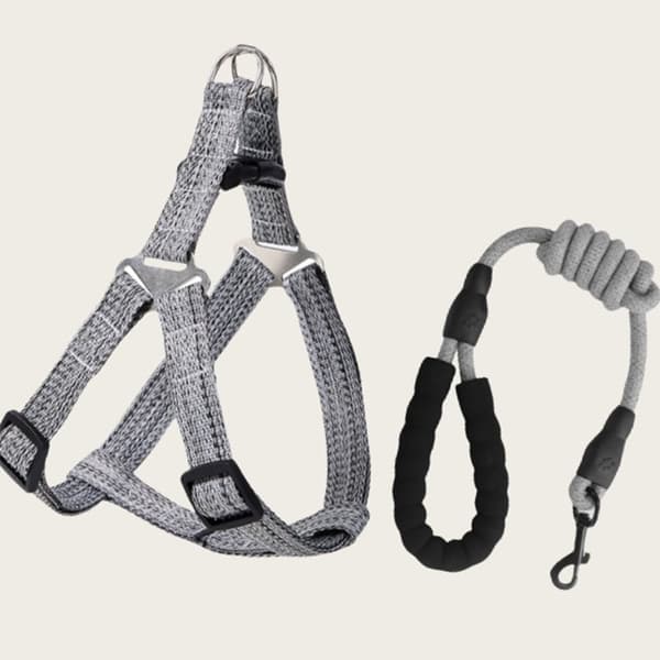 INF Husdjurssele och koppel för små hundar (3-8 lbs)
