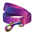 Miniatyrbilde 1 av 4: WAUDOG gradient hundebånd i nylon, 20 mm bred, 122 cm lang, lilla