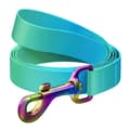 Miniatyrbilde 3 av 4: WAUDOG gradient hundebånd i nylon, 20 mm bred, 122 cm lang blå