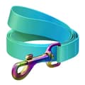 Miniatyrbilde 1 av 4: WAUDOG gradient hundebånd i nylon, 20 mm bred, 122 cm lang blå