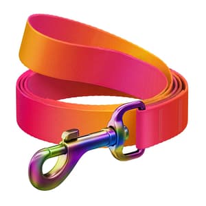 WAUDOG gradient nylon hundebånd, 122 cm lang, oransje