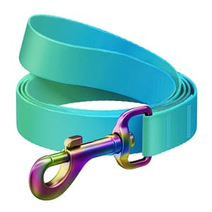WAUDOG gradientti nylon koiran talutushihna, pituus 122 cm sininen