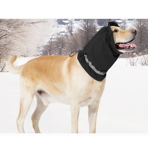 INF Beroligende hundehætte - Vandtæt & varm hundekrave i én Sort L