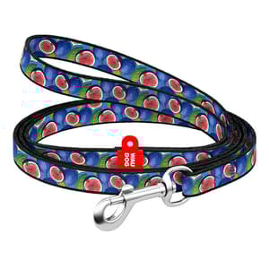 WAUDOG nylon hundebånd 20 mm bred, 122 cm lang "fig"