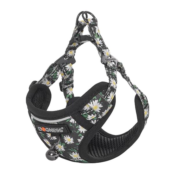 Kattesett Dogness sele og bånd (Daisy Black)