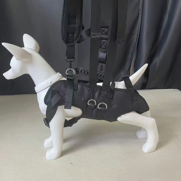 INF Pet Carrier rygsæk til små hunde og katte