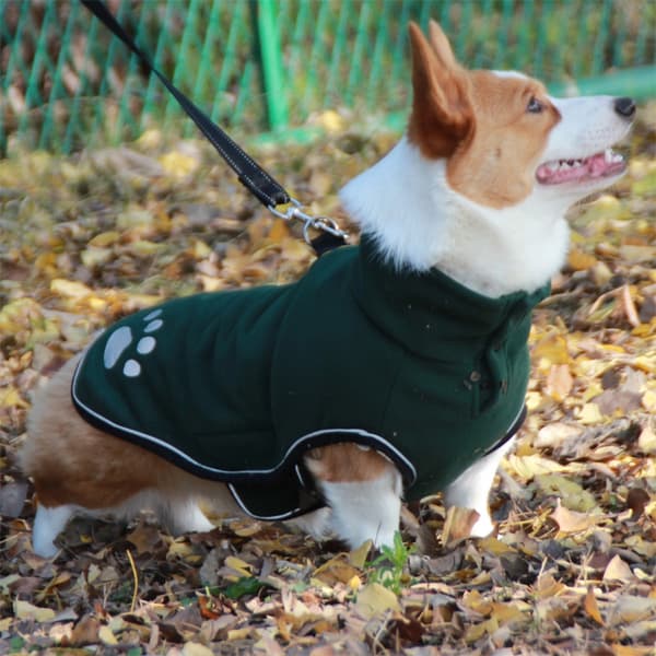 INF Heijastava lemmikin tuulitakki 5XL