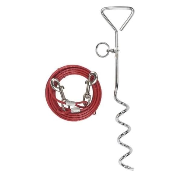 Tether Leash With Spiral Anchor