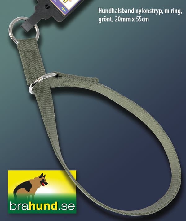 Sytt stryphalsband av nylon med ring, grönt, 20mm x 55cm