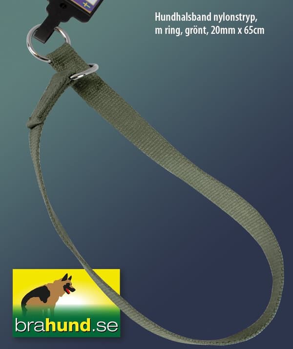 Sytt stryphalsband av nylon med ring, grönt, 20mm x 65cm