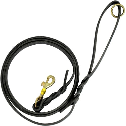 Dog Security Läderkoppel 150cm x 12mm, Svart