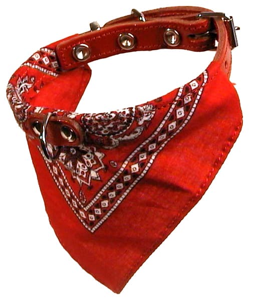 Halsband med snusnäsduk Röd