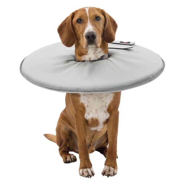 Trixie Veterinærhalsbånd Grå 46-49 / 24 cm
