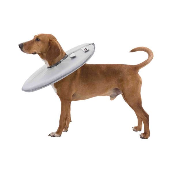 Trixie Veterinærhalsbånd Grå 46-49 / 24 cm