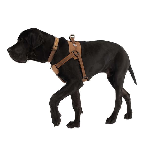 Carhartt Träningssele Brun S