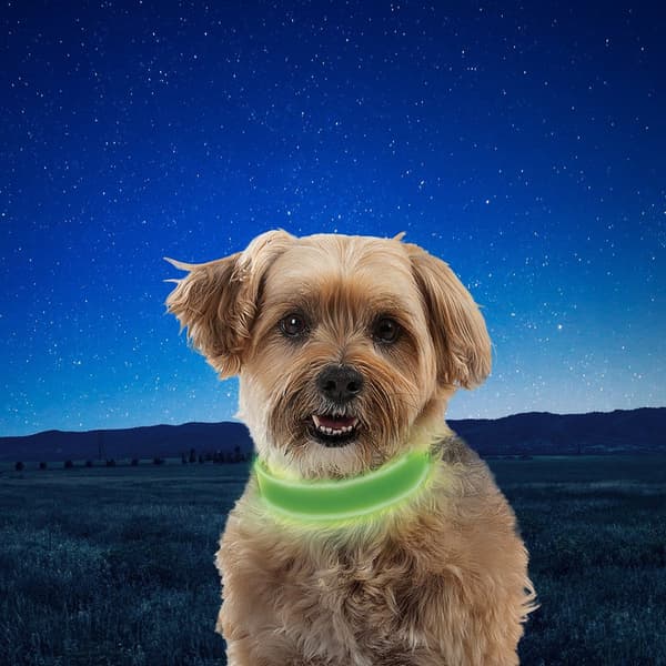 Nite Ize Uppladdningsbar Ledkrage Nitedog™ Grönt M