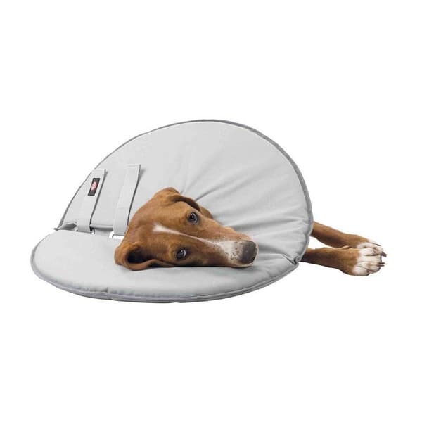 Trixie Veterinärhalsband Grå 60-64 / 29 cm
