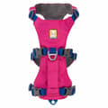 Miniatyrbild 5 av 5: Ruffwear Sele Flagline™  M