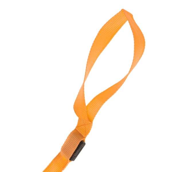 LED hundesnor 2,5x120cm orange