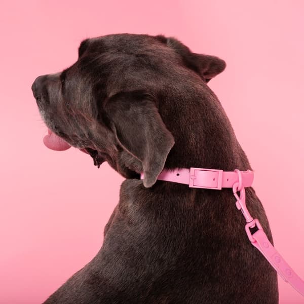Hundesnor og halsbånd PJ-076 lyserød L