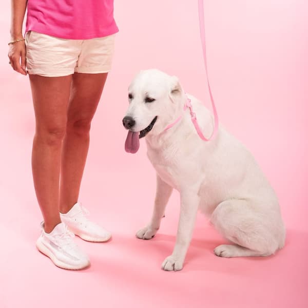 Hundesnor og halsbånd PJ-076 lyserød L
