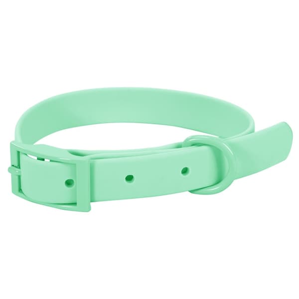 Hundesnor og halsbånd PJ-069 grøn S