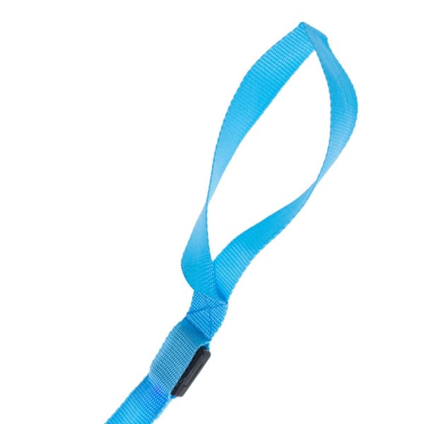 LED hundesnor 2,5x120cm blå