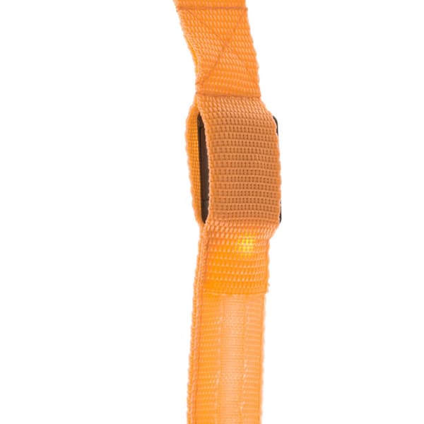 LED hundkoppel 2,5x120cm orange