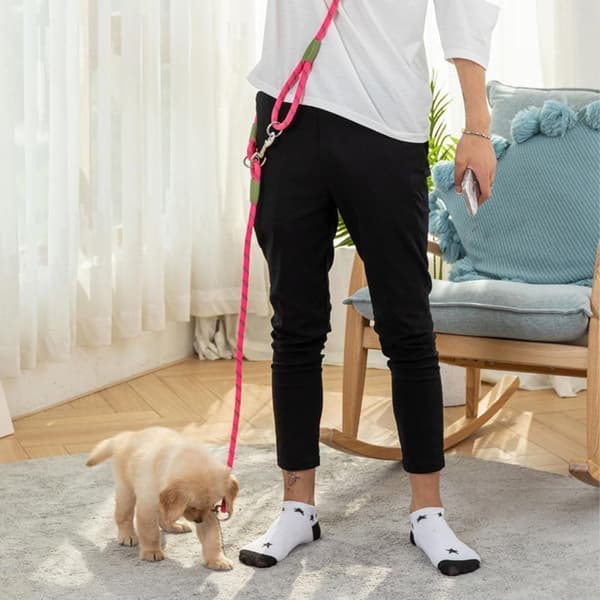 Moorle Koiran Talutushihna, Koiran Talutushihna, Koiran Olkahihna, useita värejä saatavilla - 1,2×280 cm
