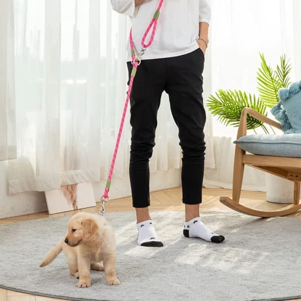 Moorle Koiran Talutushihna, Koiran Talutushihna, Koiran Olkahihna, useita värejä saatavilla - 1,2×280 cm