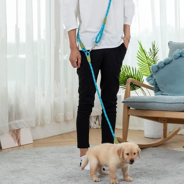 Moorle Koiran Talutushihna, Koiran Talutushihna, Koiran Olkahihna, useita värejä saatavilla - 1,2×280 cm