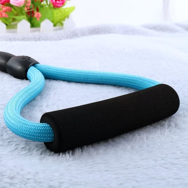 Nylon Dog Outdoor Training Kävely Säädettävä talutushihna Valjaat Köysipanta (Sky Blue, S)