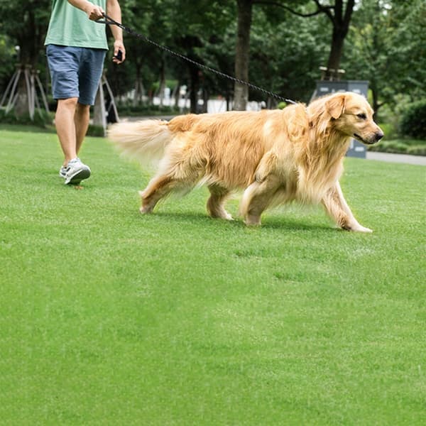 LÅNGT HUNDKOPPEL 10M TRÄNINGSREFLEKTERANDE HÅLLBART 50KG MASSIVT