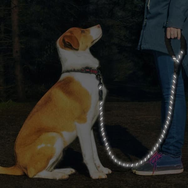 LÅNGT HUNDKOPPEL 10M TRÄNINGSREFLEKTERANDE HÅLLBART 50KG MASSIVT