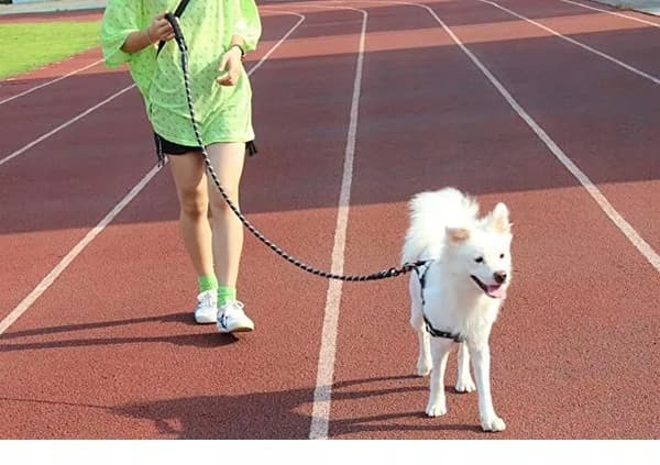 LÅNGT HUNDKOPPEL 10M TRÄNINGSREFLEKTERANDE HÅLLBART 50KG MASSIVT