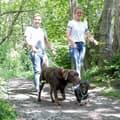 Miniatyrbild 5 av 6: TRIXIE Cavo justerbart koppel - L–XL: 2m - ø 18 mm - Svart
